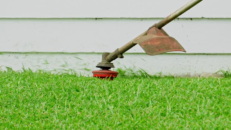 Best Organic Lawn Care Solutions  in Elgin, TX